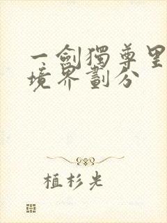 一剑独尊里面的境界划分