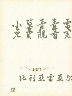 小草青青电视剧免费观看完整版高清