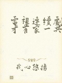 电视连续剧有你才有家一共多少集
