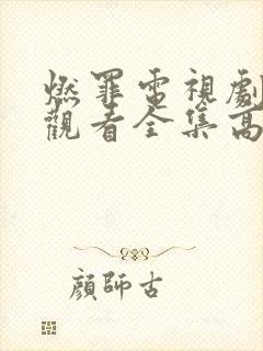 燃罪电视剧免费观看全集高清