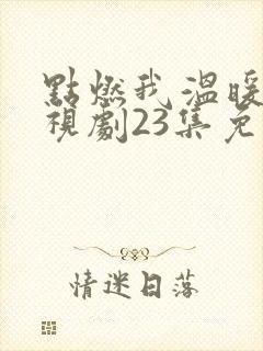 点燃我温暖你电视剧23集免费观看封面