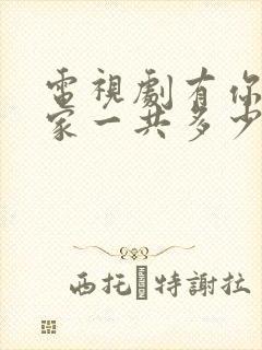 电视剧有你才有家一共多少集