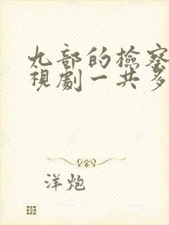 九部的检察官电视剧一共多少集
