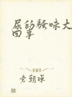 尿的骚味大怎么回事封面