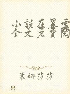 小说在暴雪时分全文免费阅读全文封面