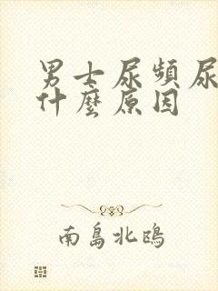 男士尿频尿少是什么原因