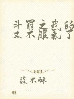 斗罗之我的系统又不服气了txt