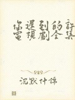 你迟到的许多年电视剧全集免费观看