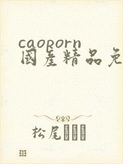 caoporn国产精品免费全网