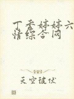 丁香婷婷六月激情综合网