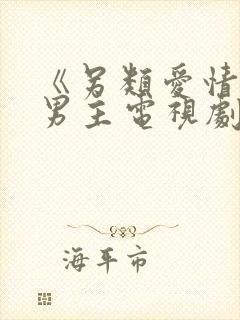 《另类爱情》双男主电视剧