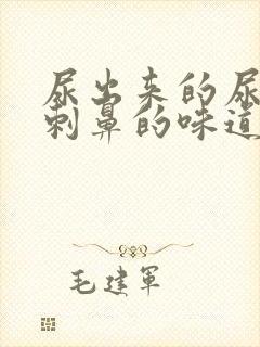 尿出来的尿一股刺鼻的味道是怎么回事