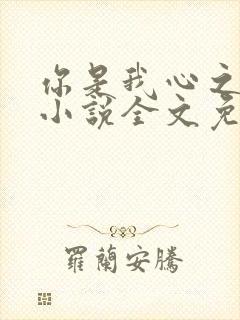 你是我心之所向小说全文免费阅读