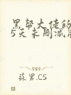 黑帮大佬的365天未删减版