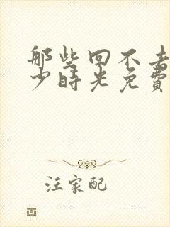 那些回不去的年少时光免费全