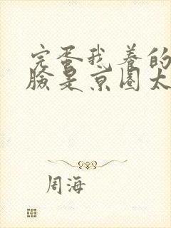 完蛋我养的小白脸是京圈太子爷全文