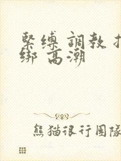 紧缚 调教 捆绑 高潮