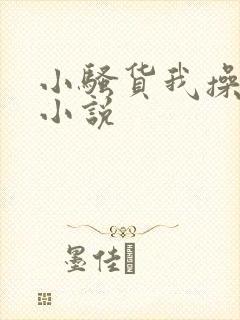 小骚货我操死你小说