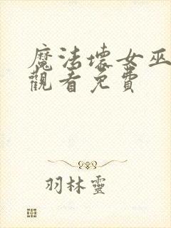 魔法坏女巫在线观看免费封面