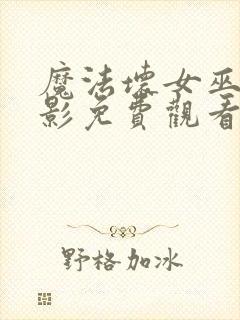 魔法坏女巫二电影免费观看封面