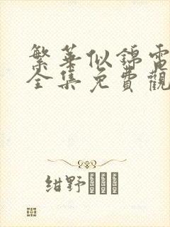 繁华似锦电视剧全集免费观看高清封面