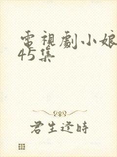 电视剧小娘惹第45集