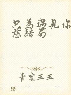 只为遇见你吴晓慈结局
