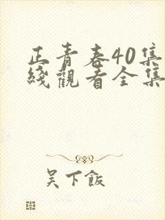 正青春40集在线观看全集