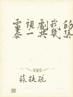 电视剧我的阿勒泰一共几集