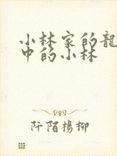 小林家的龙女仆中的小林
