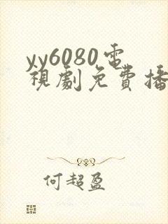 yy6080电视剧免费播放网站