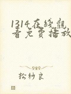 1314在线观看免费播放电视剧1314影院封面