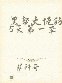 黑帮大佬的365天第一季