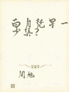 白月梵星一共多少集?