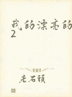 我的漂亮的嫂子2