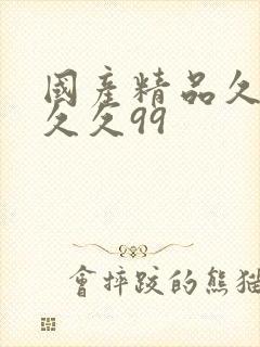 国产精品久久久久久99
