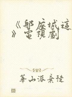 《那座城这家人》电视剧
