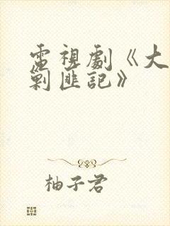 电视剧《大西南剿匪记》