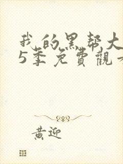 我的黑帮大佬第5季免费观看