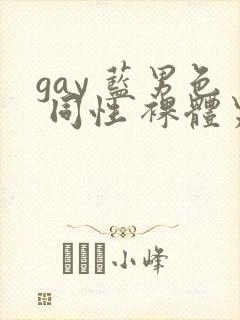 gay 蓝男色 同性 裸体男模