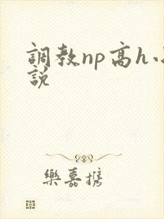 调教np高h小说封面