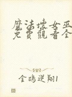 魔法坏女巫国语免费观看全集