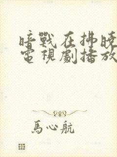 暗战在拂晓之前电视剧播放