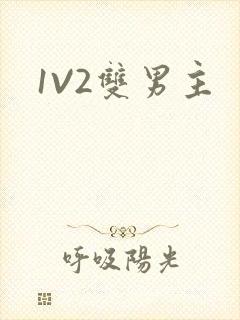 1V2双男主