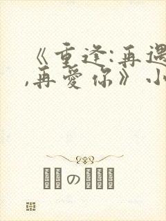 《重逢:再遇你,再爱你》小说
