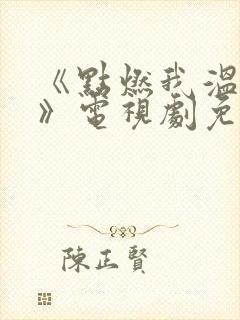 《点燃我温暖你》电视剧免费观看