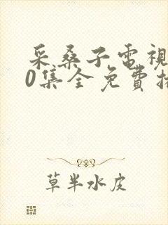 采桑子电视剧40集全免费播放