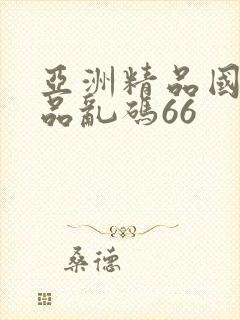 亚洲精品国产精品乱码66