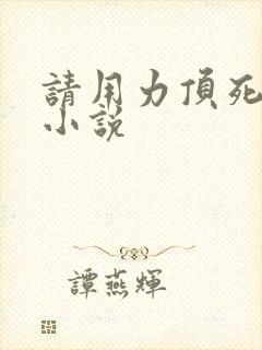 请用力顶死我吧小说