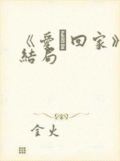 《爱·回家》大结局封面